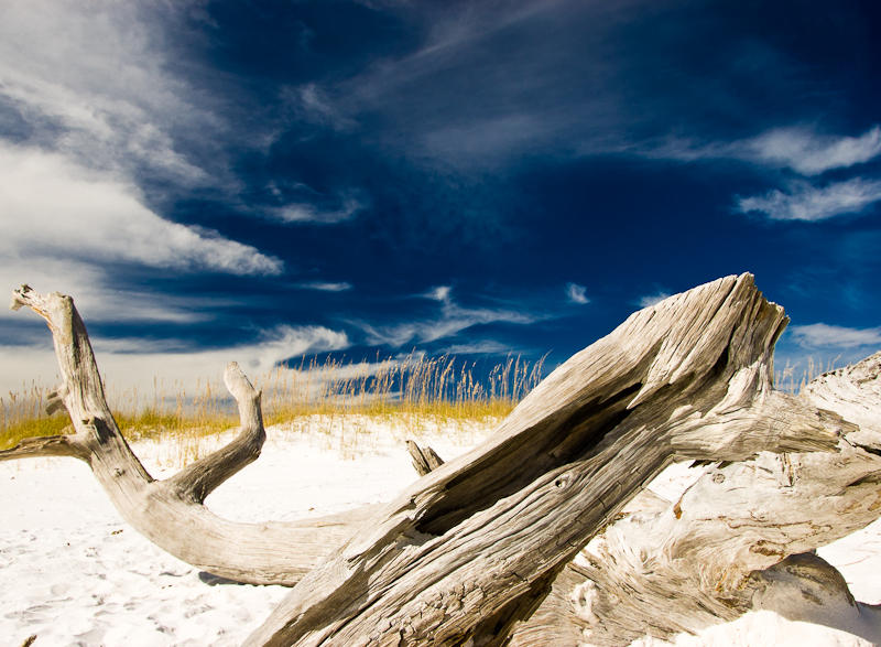 Landscapes fine art photograph 12 by Rick Austin