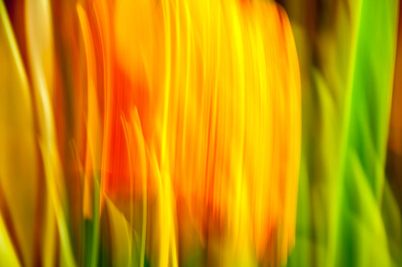 Other fine art photograph 1 by Rick Austin