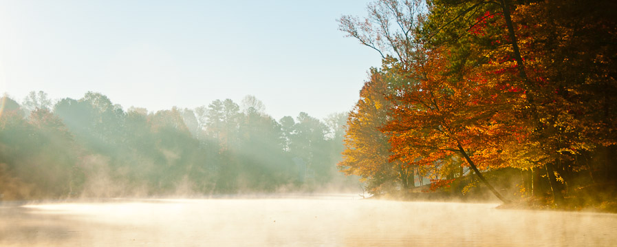 Morning mist and autumn trees beside a lake