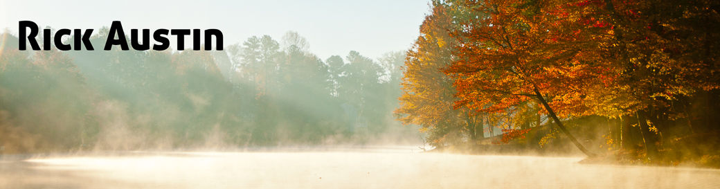 A photographic collage from Rick Austin's original website